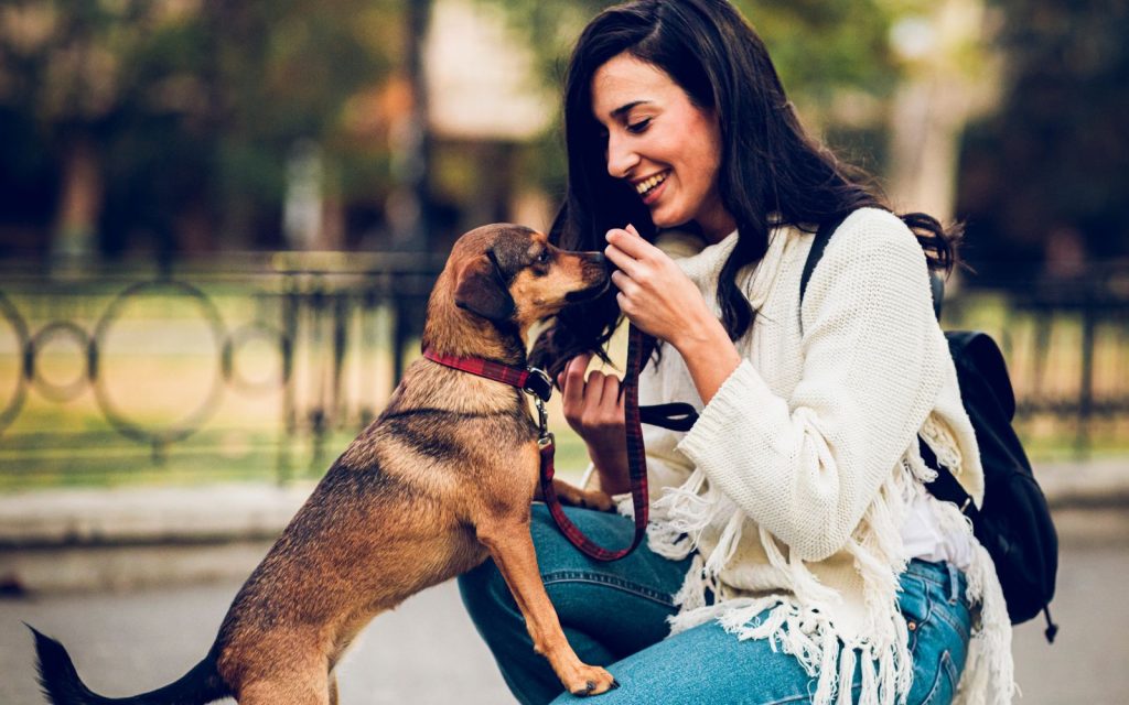 41 Questions to Ask Before Accepting a Pet Sitting and House Sitting Job